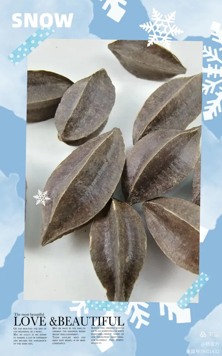 每日学一味中草药:使君子